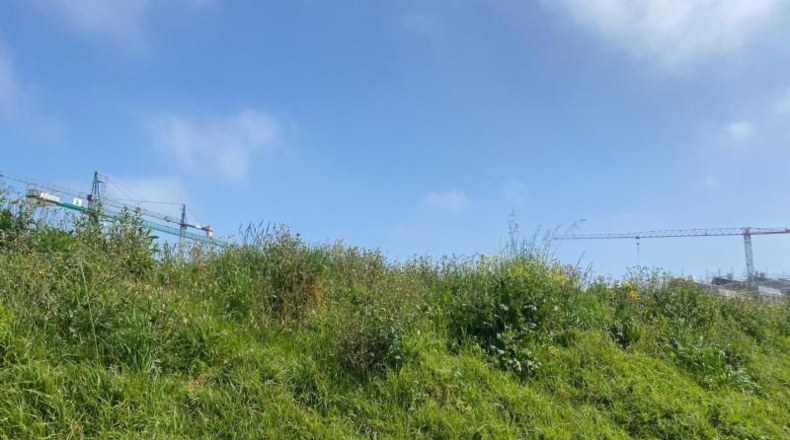 Cantabria - Santa Cruz de Bezana - 350m2