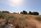 Sòl urbà en venda a la España, Santa Oliva, ref.: TR415125 foto
