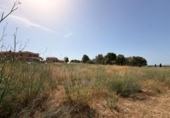 Sòl urbà en venda a la España, Santa Oliva, ref.: TR415125 foto