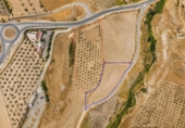 Terreno no urbanizable en venta en la España, Los Llanos, ref: TR415129 foto