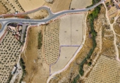 Terreno no urbanizable en venta en la España, Los Llanos, ref: TR415129 foto