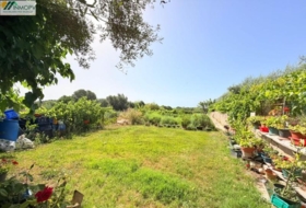 Vinaròs 3300&nbsp;m²