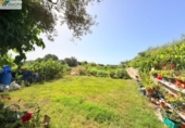 Finca rústica en venta en la España, Vinaròs, ref: TR415132 foto