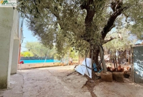 Vinaròs 3300&nbsp;m²