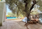 Finca rústica en venta en la España, Vinaròs, ref: TR415132 foto