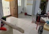 Casa de campo con terreno en venta en la España, Jaén, ref: TR415133 foto