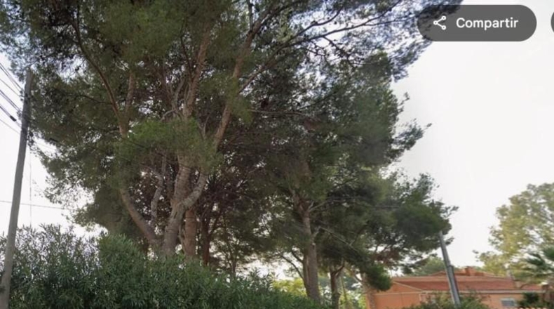 Castellón - Castelló de la Plana - 946m2