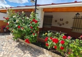 Chalet independiente con terreno en venta en la España, Puertollano, ref: TR343804 foto