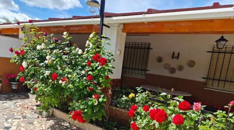 Ciudad Real - Puertollano - 80000m2