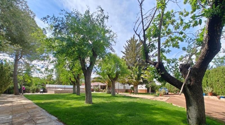 Ciudad Real - Puertollano - 80000m2