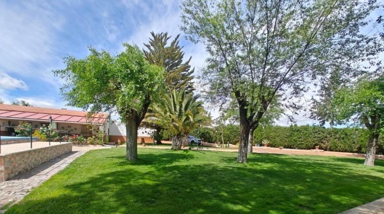Ciudad Real - Puertollano - 80000m2
