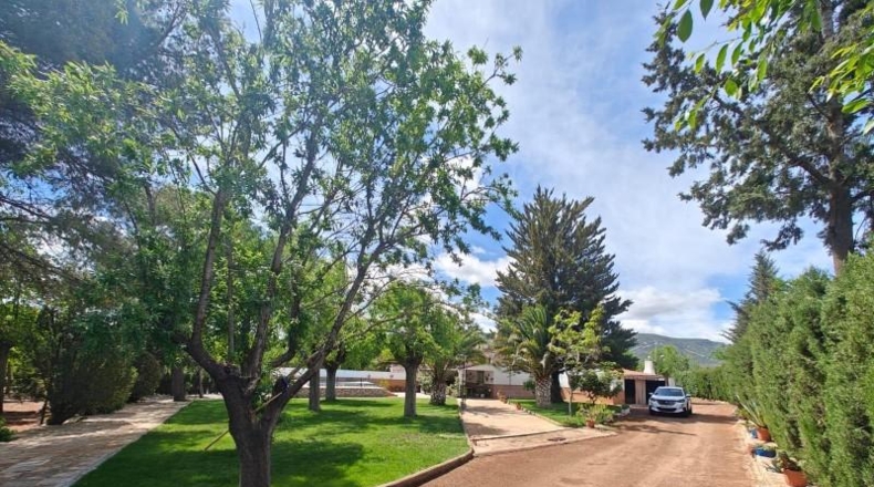 Ciudad Real - Puertollano - 80000m2