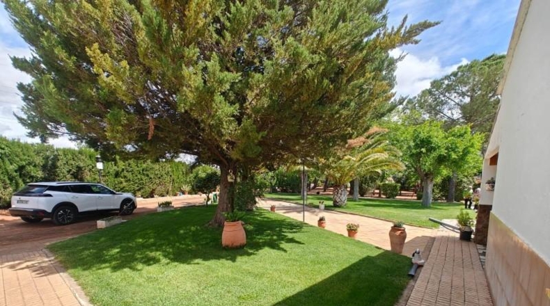 Ciudad Real - Puertollano - 80000m2