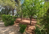 Chalet independiente con terreno en venta en la España, Puertollano, ref: TR343804 foto