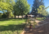 Chalet independiente con terreno en venta en la España, Puertollano, ref: TR343804 foto