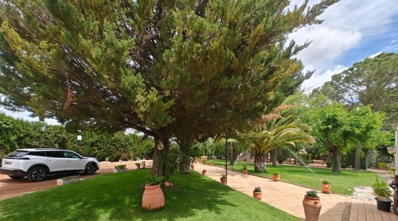 Ciudad Real - Puertollano - 80000m2