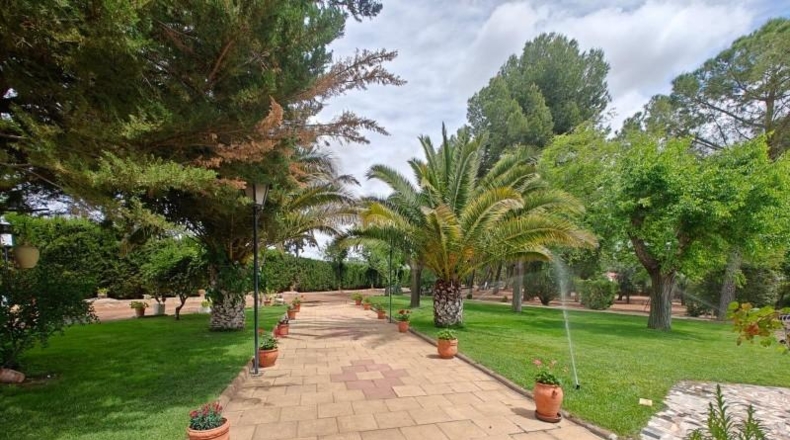 Ciudad Real - Puertollano - 80000m2
