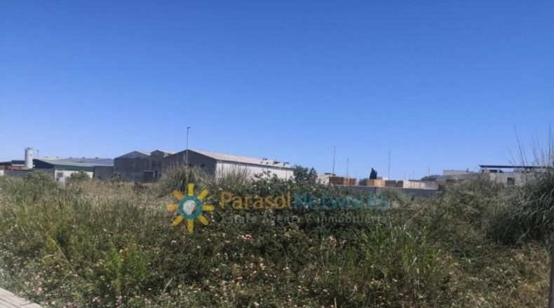 Valencia - Daimús - 585m2