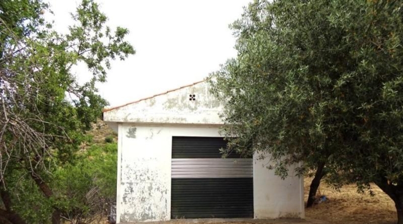Гранада - Pinos Genil - 25000m2