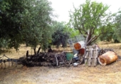 Finca rústica en venta en la España, Pinos Genil, ref: TR415150 foto
