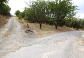 Finca rústica en venta en la España, Pinos Genil, ref: TR415150 foto