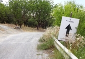 Finca rústica en venta en la España, Pinos Genil, ref: TR415150 foto