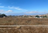 Non-developable land for sale on España, Granadilla de Abona, ref: TR415157 photo