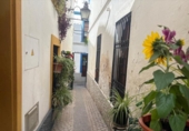 Sòl urbà en venda a la España, Còrdova, ref.: TR255675 foto