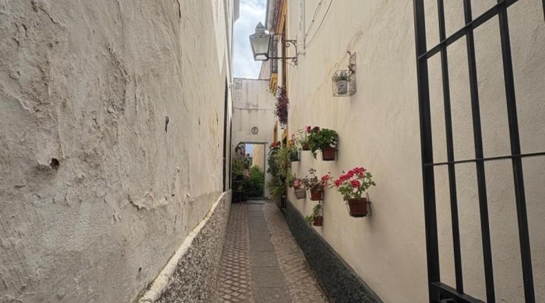 Cordova - Córdoba - 135m2