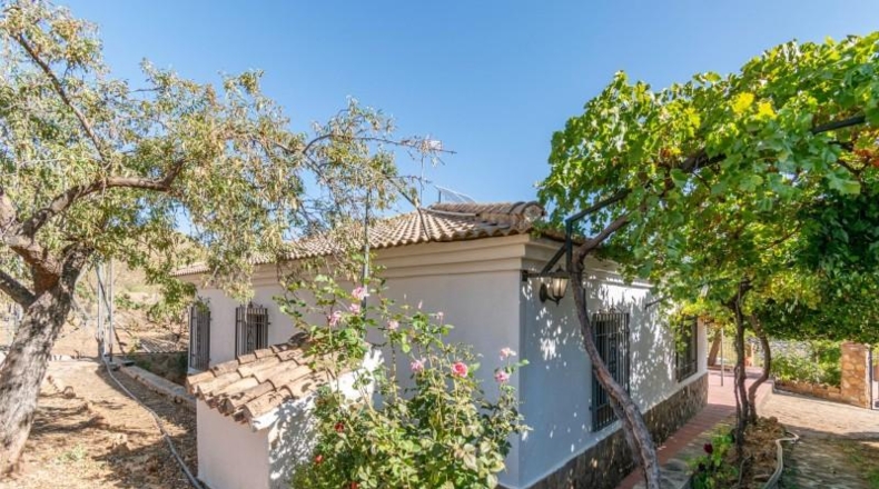 Granada - Граена - 1500m2
