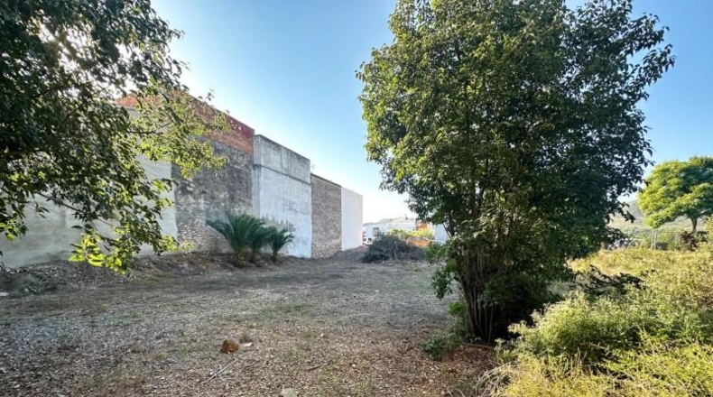 Alicante - Pego - 596m2