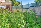 Casa de campo con terreno en venta en la España, Vilanova i la Geltrú, ref: TR415172 foto