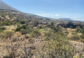 Non-developable land for sale on España, Granadilla de Abona, ref: TR415174 photo