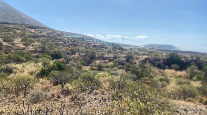 Santa Creu de Tenerife - Granadilla de Abona - 11223m2