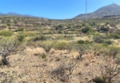 Non-developable land for sale on España, Granadilla de Abona, ref: TR415174 photo