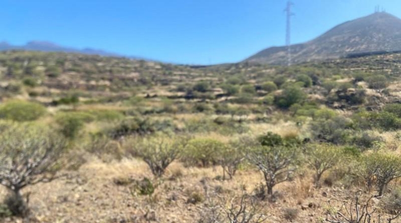 Santa Creu de Tenerife - Granadilla de Abona - 11223m2