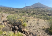 Non-developable land for sale on España, Granadilla de Abona, ref: TR415174 photo