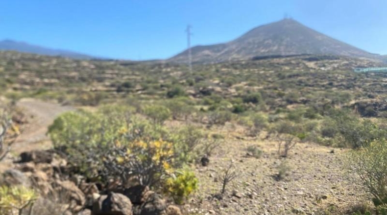 Santa Creu de Tenerife - Granadilla de Abona - 11223m2