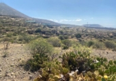 Non-developable land for sale on España, Granadilla de Abona, ref: TR415174 photo