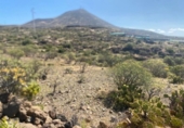 Non-developable land for sale on España, Granadilla de Abona, ref: TR415174 photo