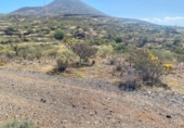 Non-developable land for sale on España, Granadilla de Abona, ref: TR415174 photo