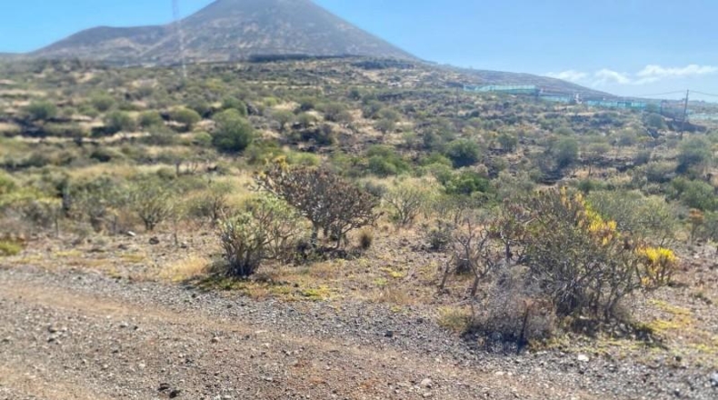 Santa Creu de Tenerife - Granadilla de Abona - 11223m2