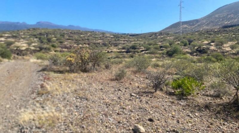 Santa Creu de Tenerife - Granadilla de Abona - 11223m2