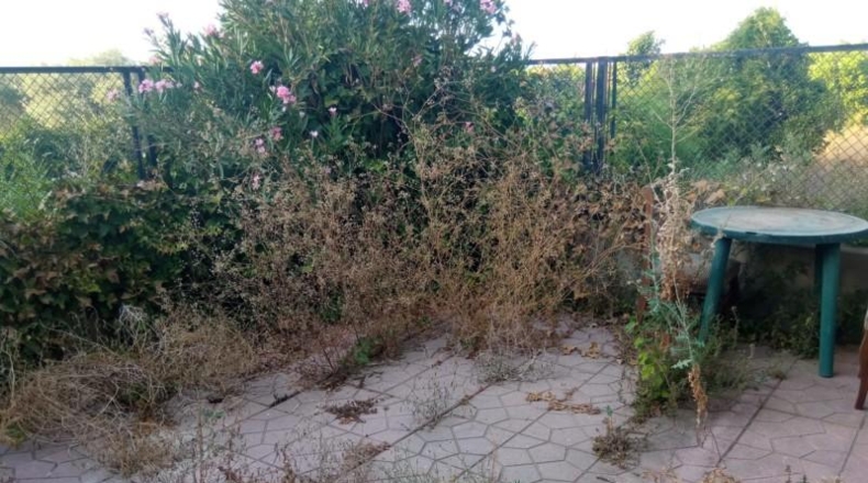 Murcia - Murcia - 3000m2
