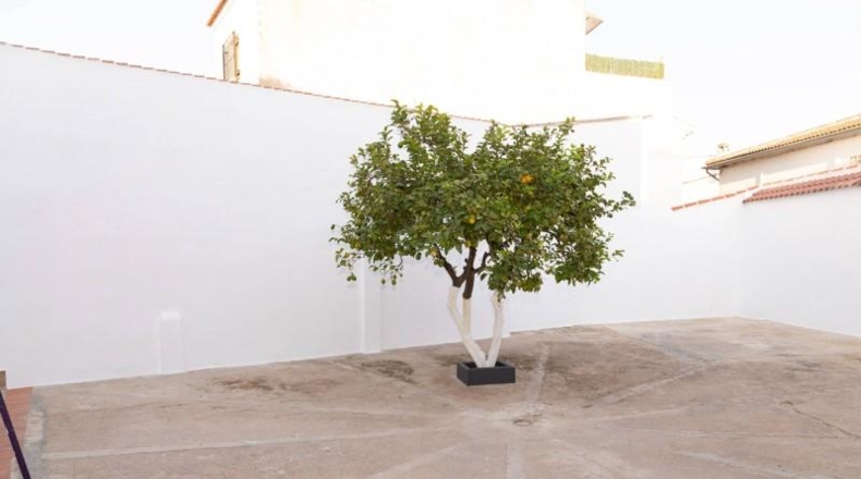 Málaga - Alameda - 237m2