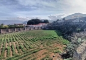 Non-developable land for sale on España, San Cristóbal de La Laguna, ref: TR415184 photo