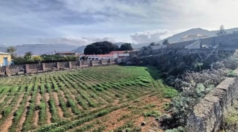 Santa Creu de Tenerife - Сан-Кристобаль-де-Ла-Лагуна - 7009m2