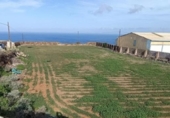 Non-developable land for sale on España, San Cristóbal de La Laguna, ref: TR415184 photo