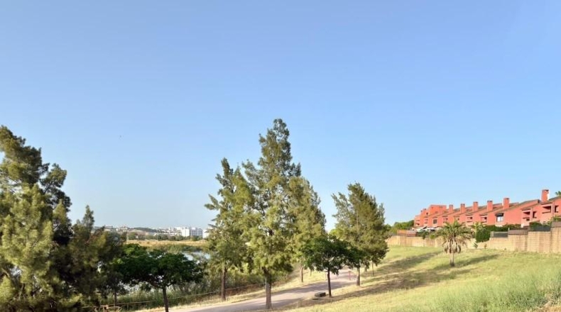 Cádiz - Jerez de la Frontera - 499m2