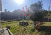 Finca rústica en venda a la España, Celanova, ref.: TR415188 foto